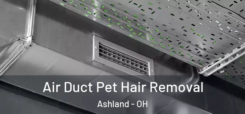  Air Duct Pet Hair Removal Ashland - OH