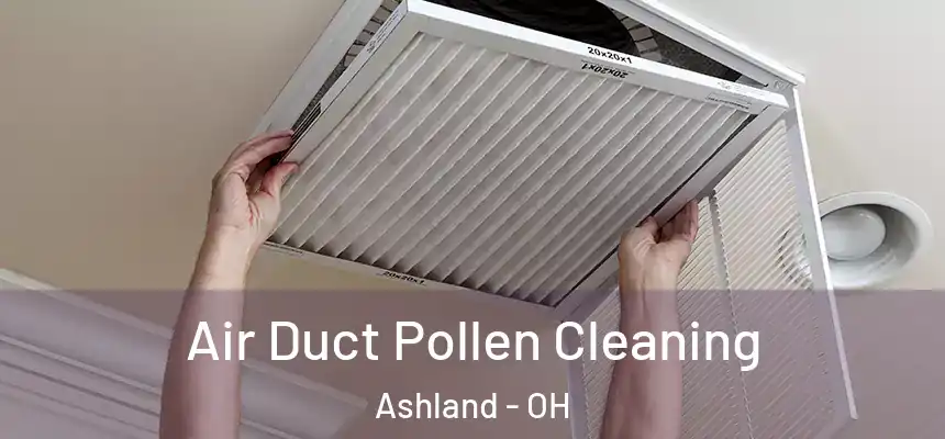  Air Duct Pollen Cleaning Ashland - OH