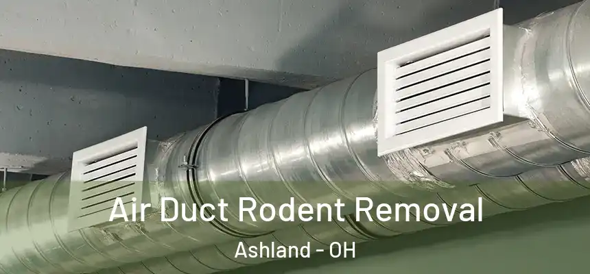  Air Duct Rodent Removal Ashland - OH