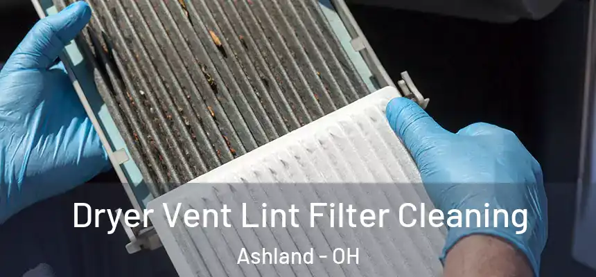 Dryer Vent Lint Filter Cleaning Ashland - OH