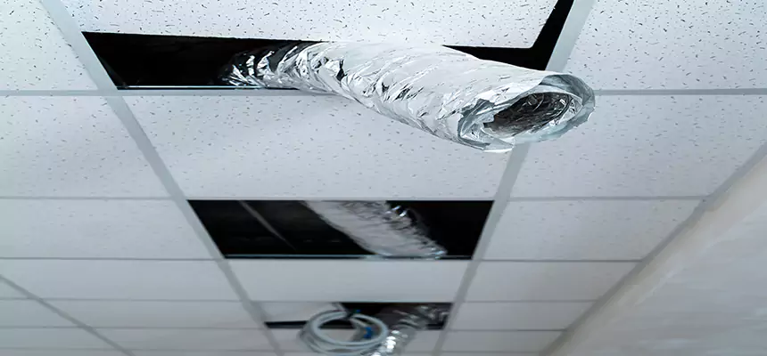 Our Air Duct Pet Hair Removal Services in Ashland, OH