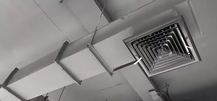 Our Rodent Droppings In Vents Services in Ashland, OH