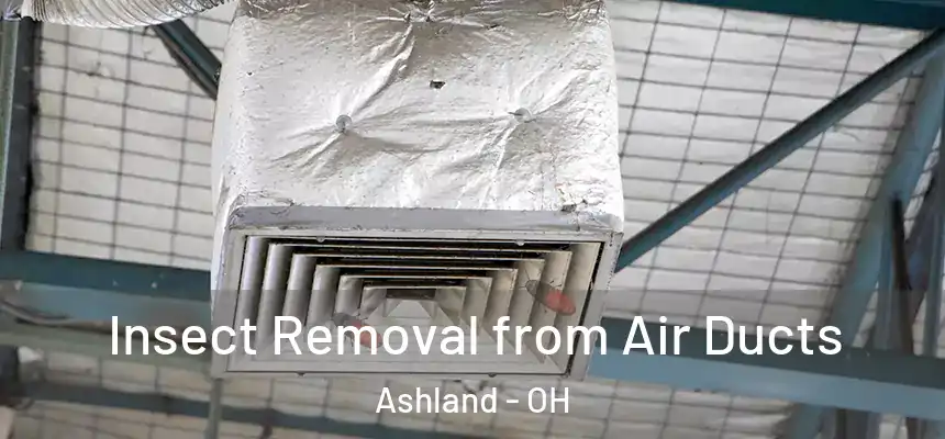 Insect Removal from Air Ducts Ashland - OH