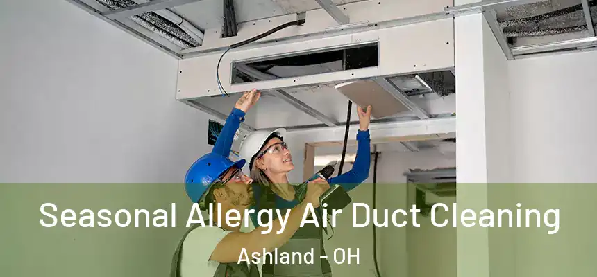  Seasonal Allergy Air Duct Cleaning Ashland - OH