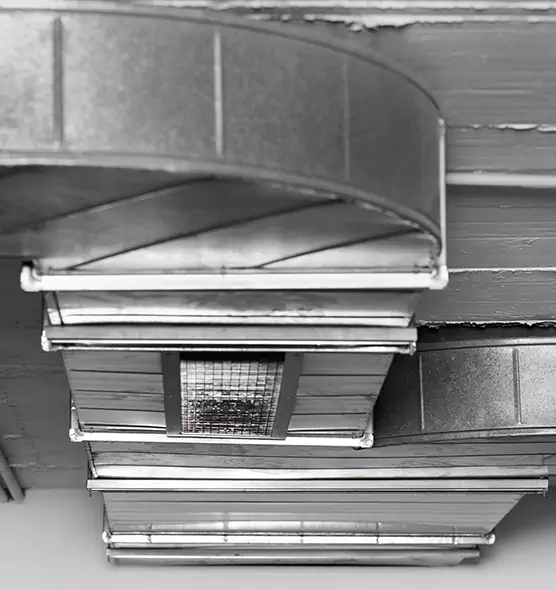 Professional Air Duct Pest Removal in Ashland, OH