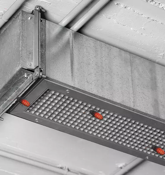 Affordable Insect Removal from Air Ducts in Ashland, OH