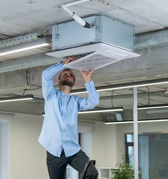 Advanced Rodent Droppings In Vents in Ashland, OH